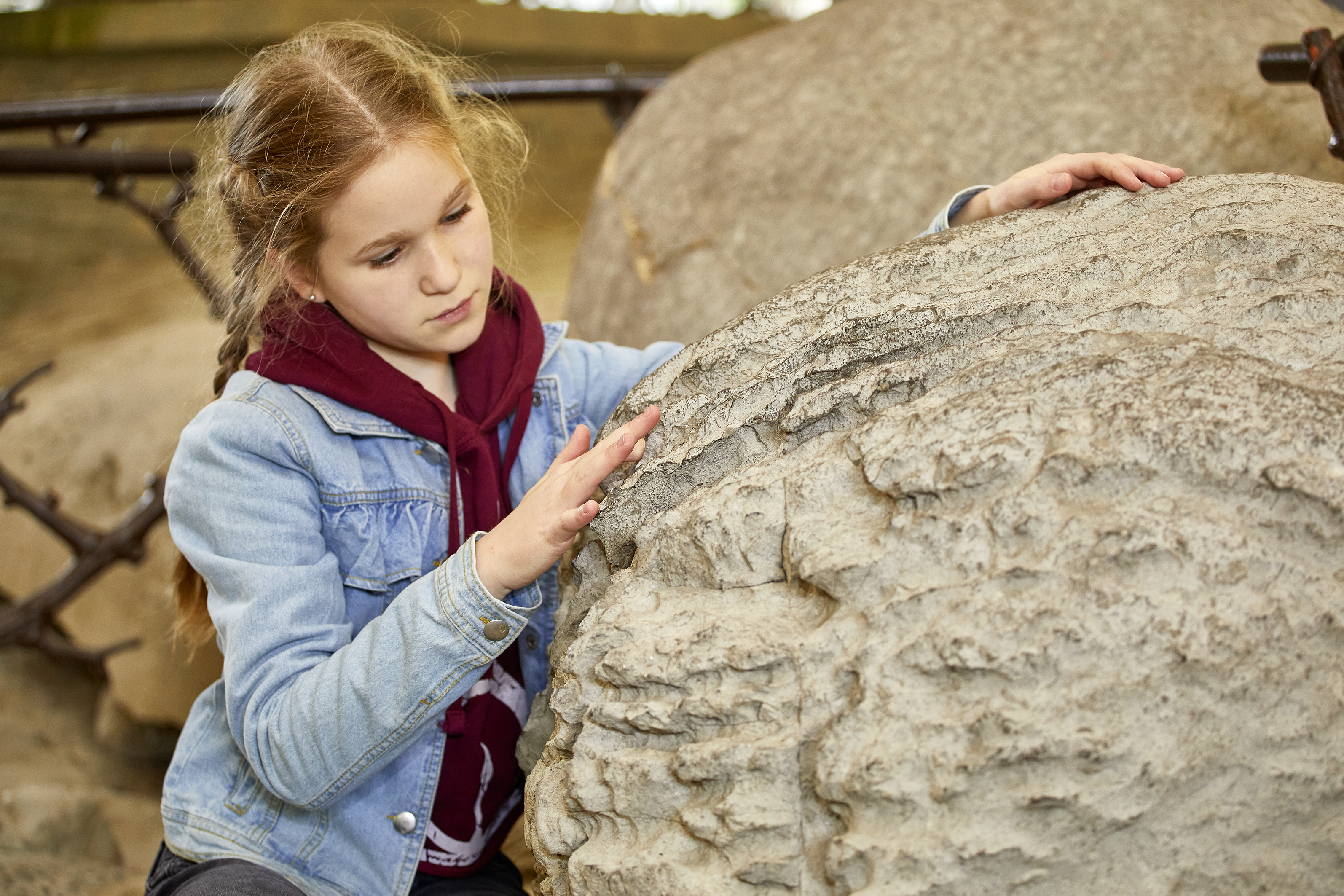Ausflugsziel: Gletschertöpfe und Findlinge - Gletschergarten Luzern