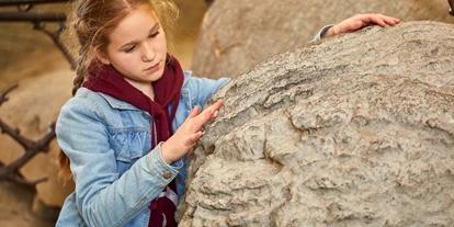Voyage avec des enfants - Morschach - Gletschertöpfe und Findlinge - Gletschergarten Luzern
