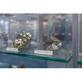 Ausflugsziel: In der Mineraliensammlung sind über 1'200 Exponate zu sehen. - Museum DIORAMA 