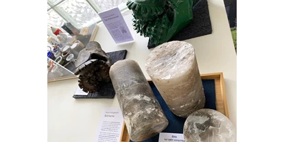 Voyage avec des enfants - Emmen - Sonderausstellung SALZ - ein ganz besonderees Mineral!
Bis 31. Januar 2023. - Museum DIORAMA