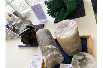 Ausflugsziel: Sonderausstellung SALZ - ein ganz besonderees Mineral!
Bis 31. Januar 2023. - Museum DIORAMA 