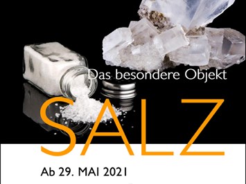 Museum DIORAMA  Highlights beim Ausflugsziel SALZ - Ein besonderes Mineral!