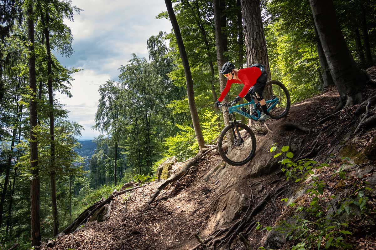 Ausflug mit Kindern - erreichbar mit: Auto - Alpfox am Präbichl