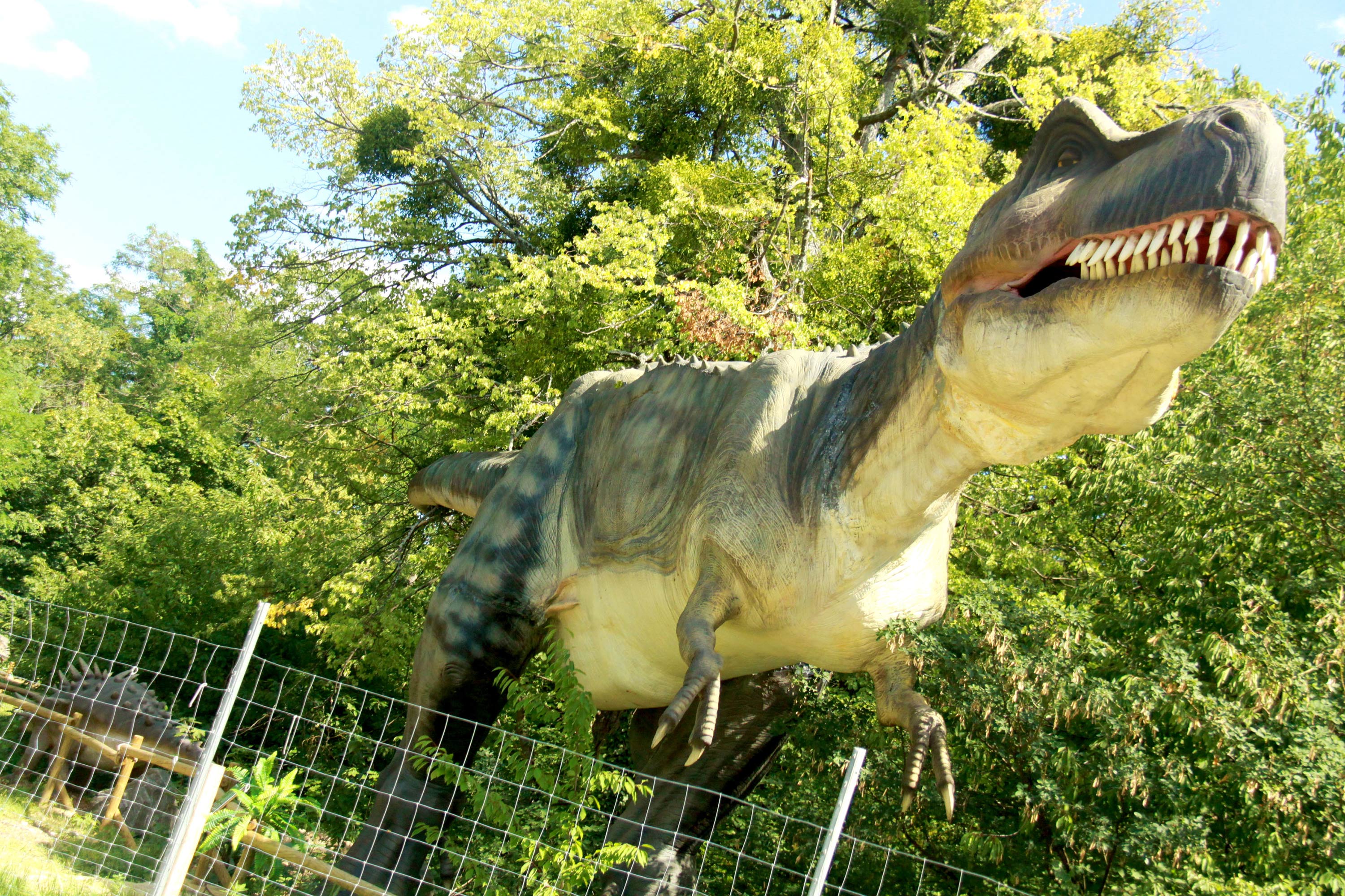 Ausflug mit Kindern - Wienerwald - Dino Tattendorf