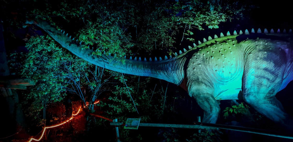 Ausflugsziel: Nach der Dämmerung beleuchtet - Dino Tattendorf