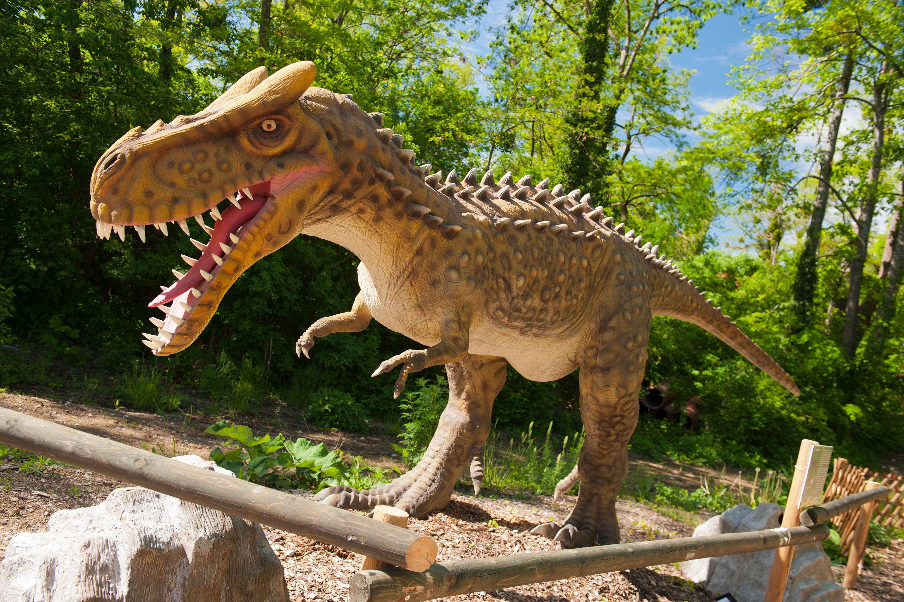 Ausflugsziel: Dino Tattendorf