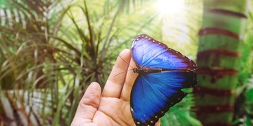 Ausflug mit Kindern - Alter der Kinder: 1 bis 2 Jahre - Schmetterlingwelt