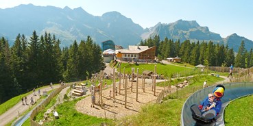 Ausflug mit Kindern - Alter der Kinder: über 10 Jahre - Obwalden - Sommer-Rodelbahn Ristis