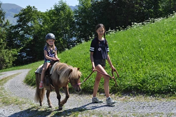 Ausflugsziel: Direkt neben dem Hexenspielplatz befindet sich unser Ponystall. In den Sommer-& Hetbstferien kann man auch Ponyreiten.  - Abenteuerspielplatz Wirzweli