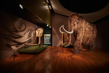 Ausflugsziel: Dauerausstellung Mammut & Säbelzahntiger - Naturhistorisches Museum Basel