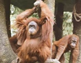 Ausflugsziel: Zoo Hasel