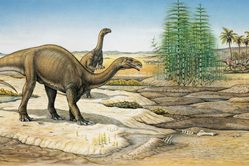 Ausflugsziel: Lebensbild Späte Trias mit Plateosauriern und Raubdinosauriern. - Sauriermuseum Frick