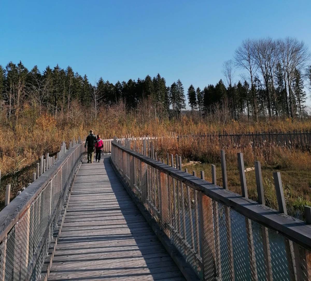 Ausflugsziel: Weitwörther Au