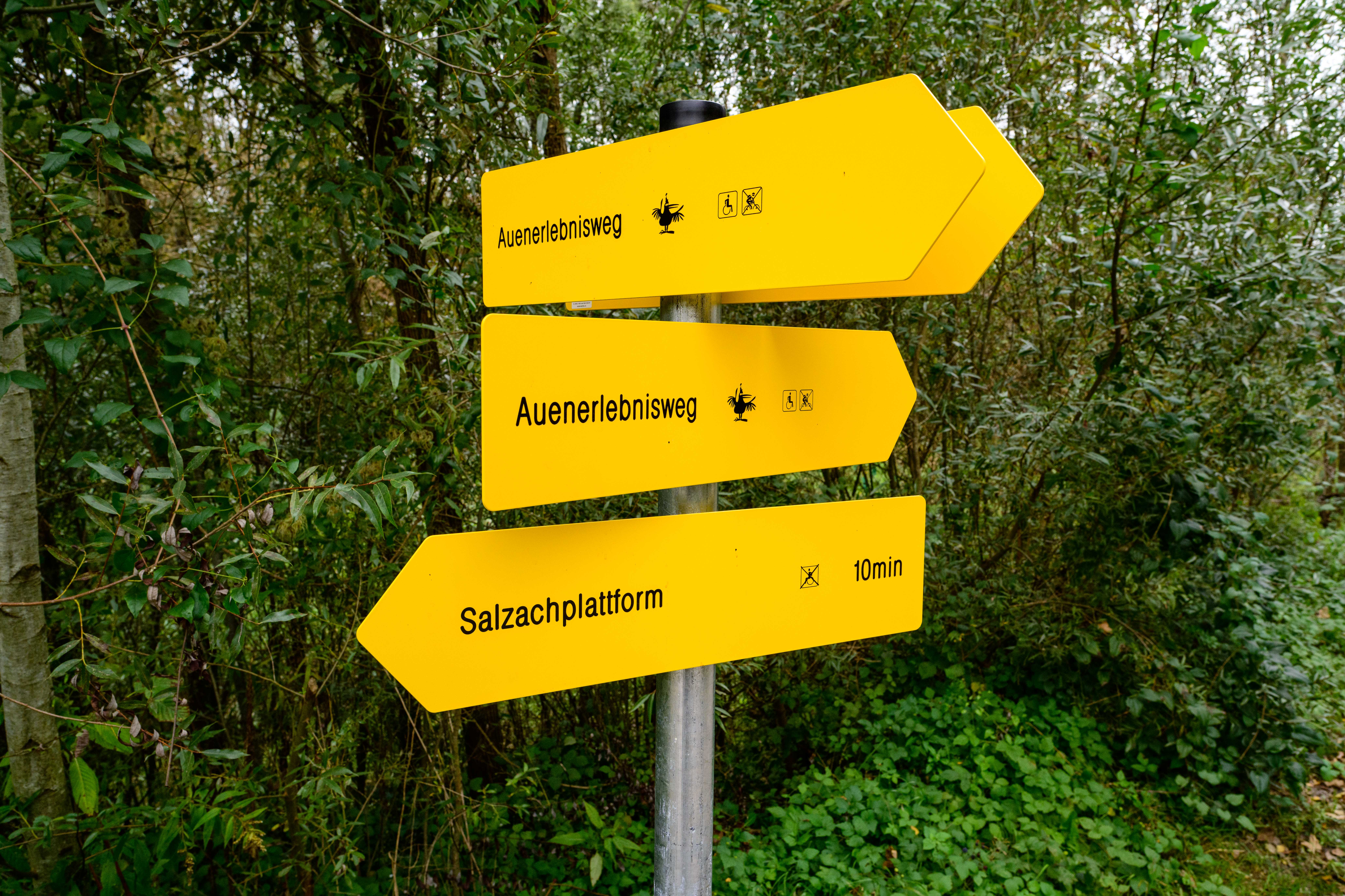 Ausflugsziel: Weitwörther Au