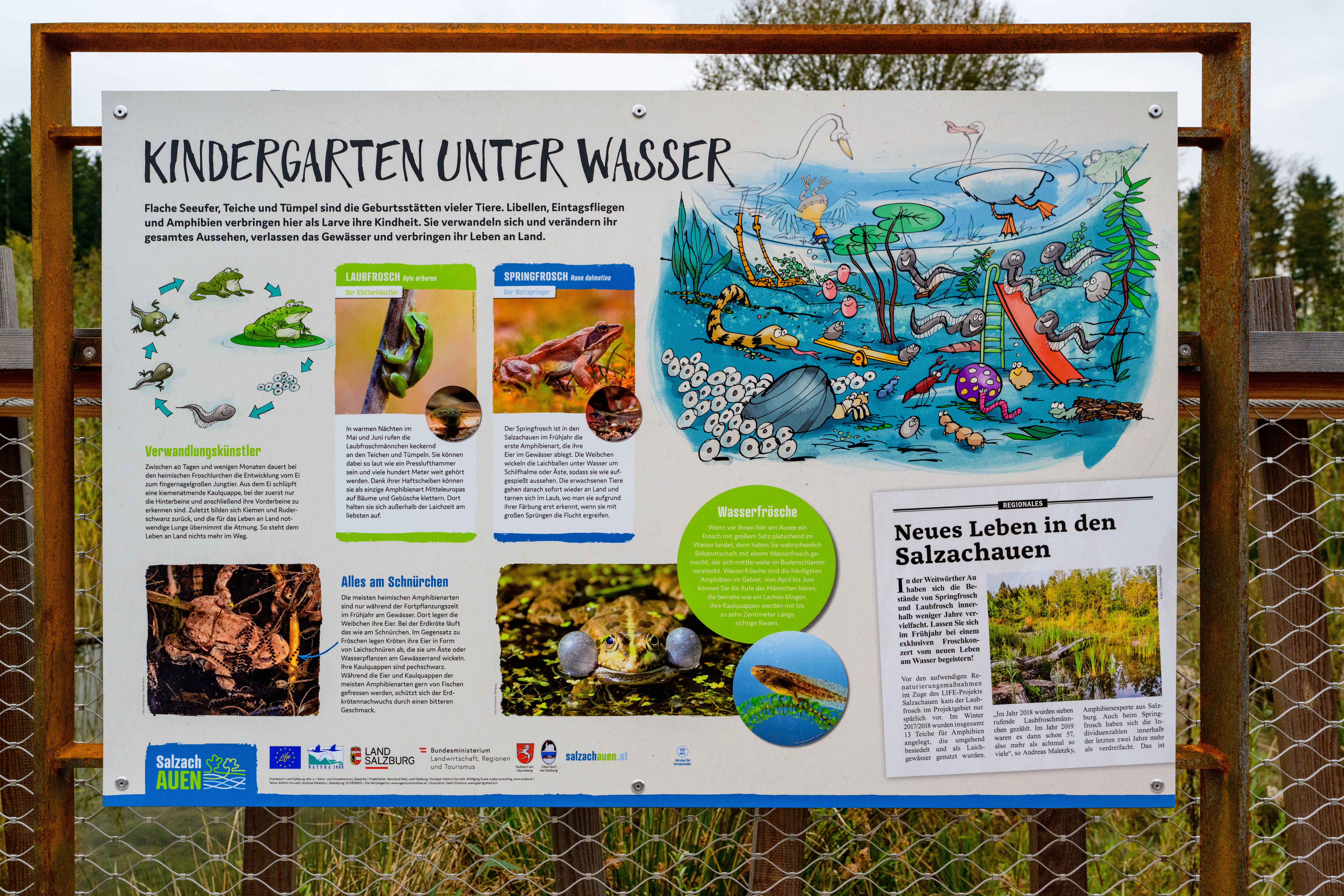 Ausflugsziel: Weitwörther Au