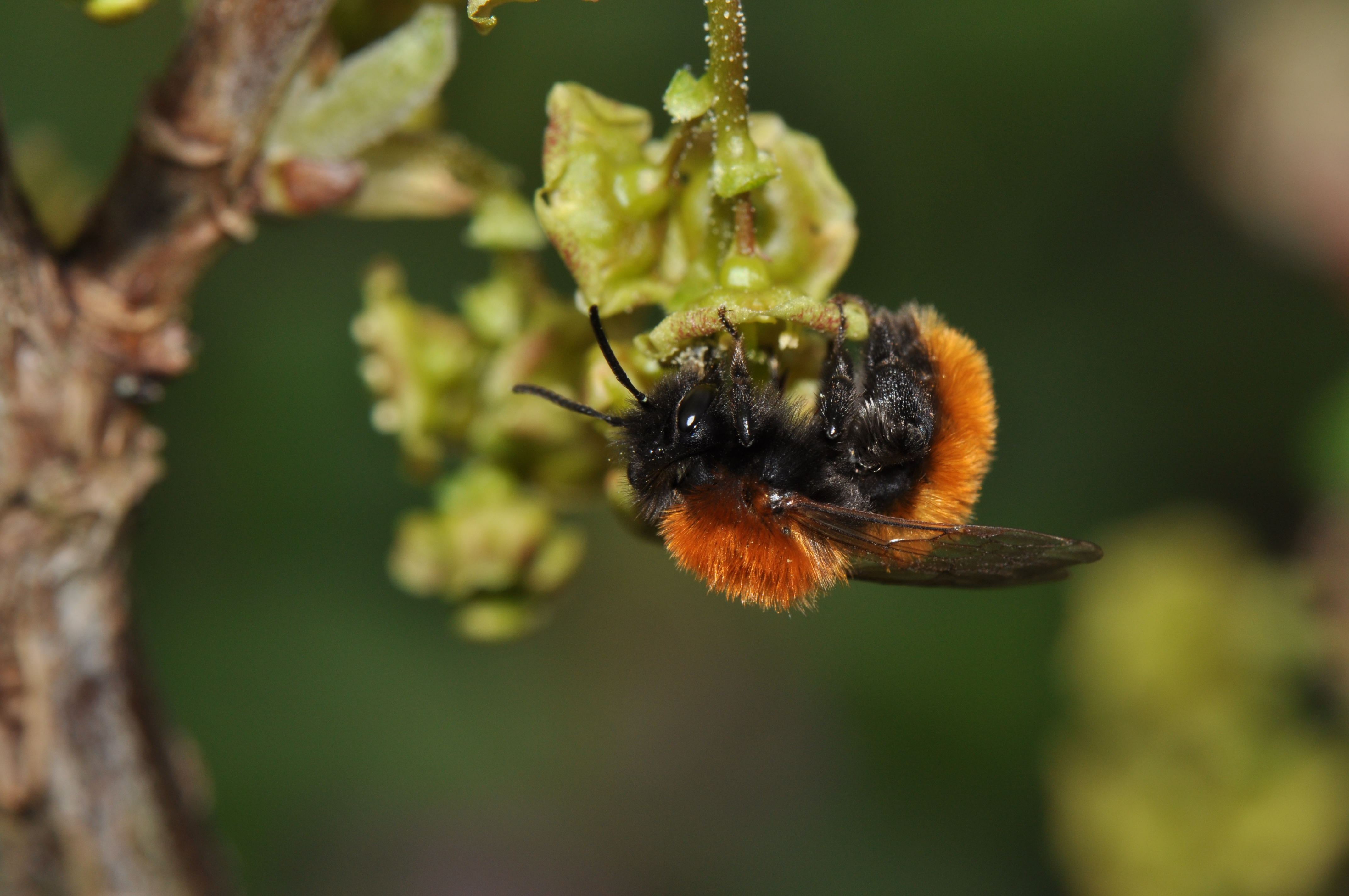 Ausflugsziel: Barfußweg Seekirchen