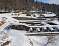 Ausflugsziel: Archäologischer Park Magdalensberg