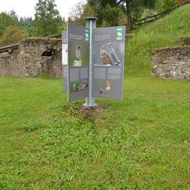 Ausflugsziel: Archäologischer Park Magdalensberg