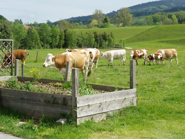 Ausflugsziel: Irrsberg