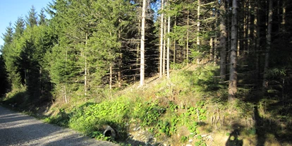 Viaggio con bambini - Neukirchen (Altmünster) - Irrsberg