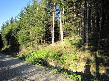 Ausflugsziel: Irrsberg