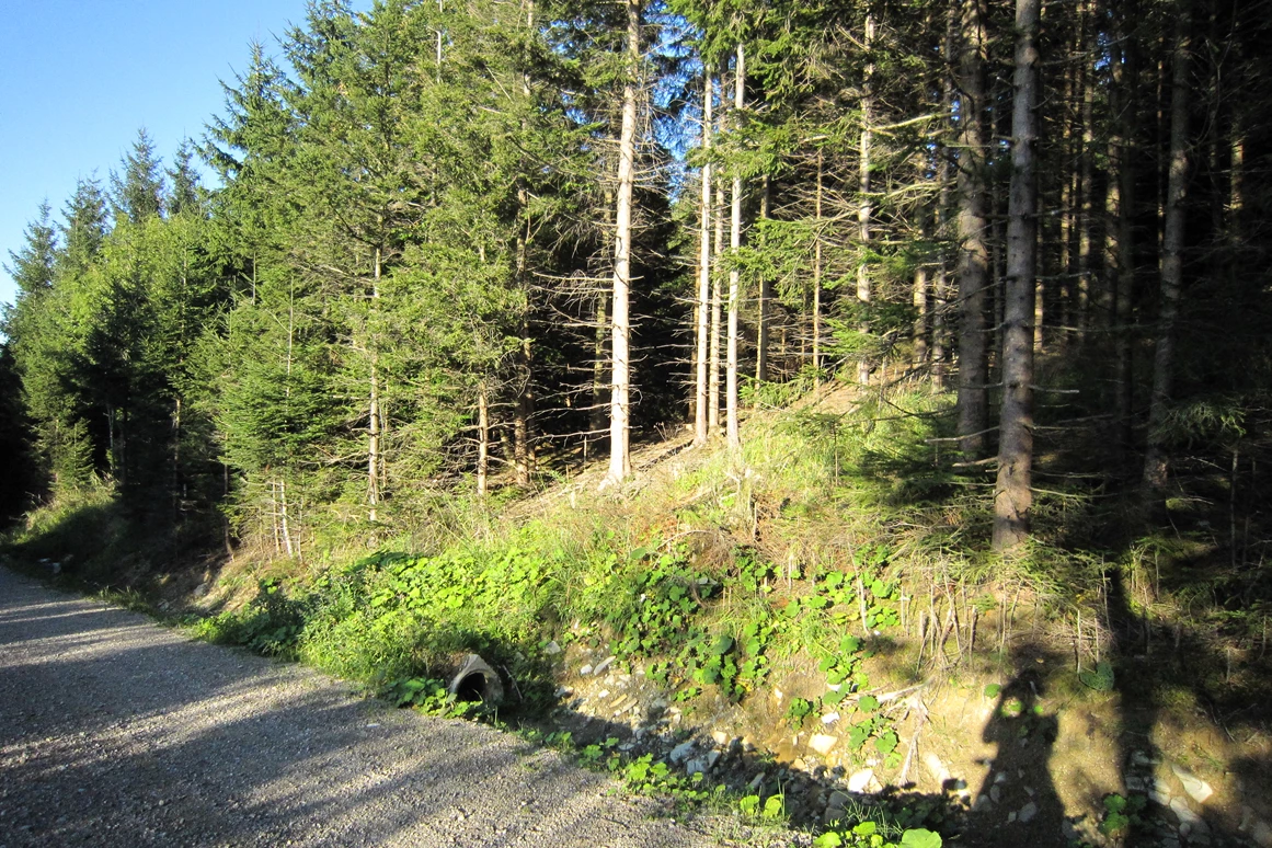 Ausflugsziel: Irrsberg