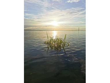 Ausflugsziel: Sonnenaufgang im Hörnli  - Schwimmbad Hörnli Kreuzlingen