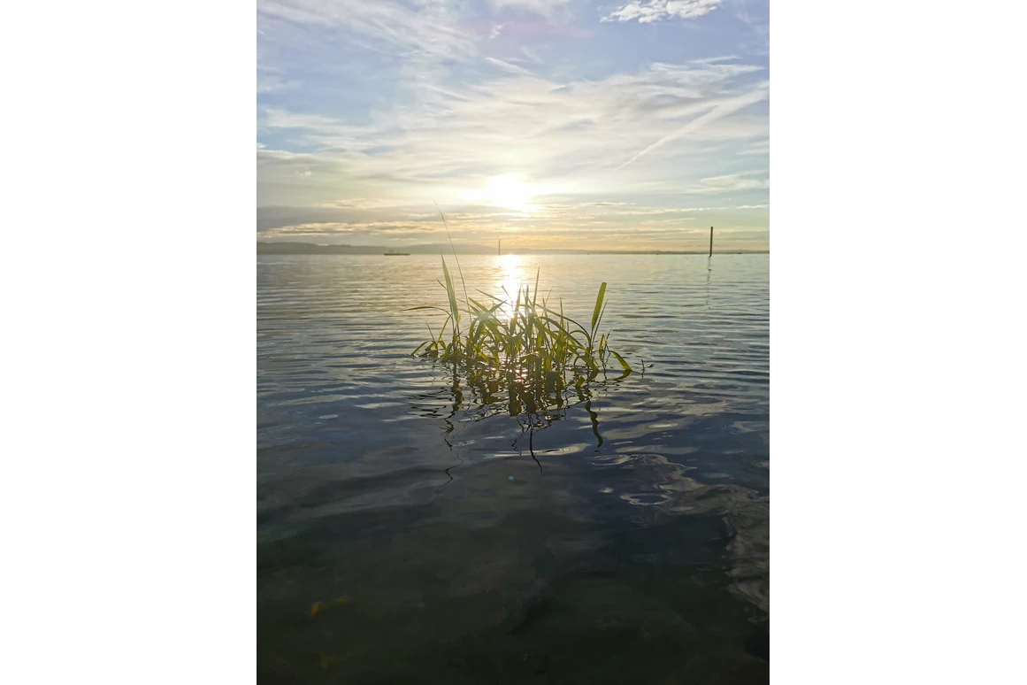 Ausflugsziel: Sonnenaufgang im Hörnli  - Schwimmbad Hörnli Kreuzlingen