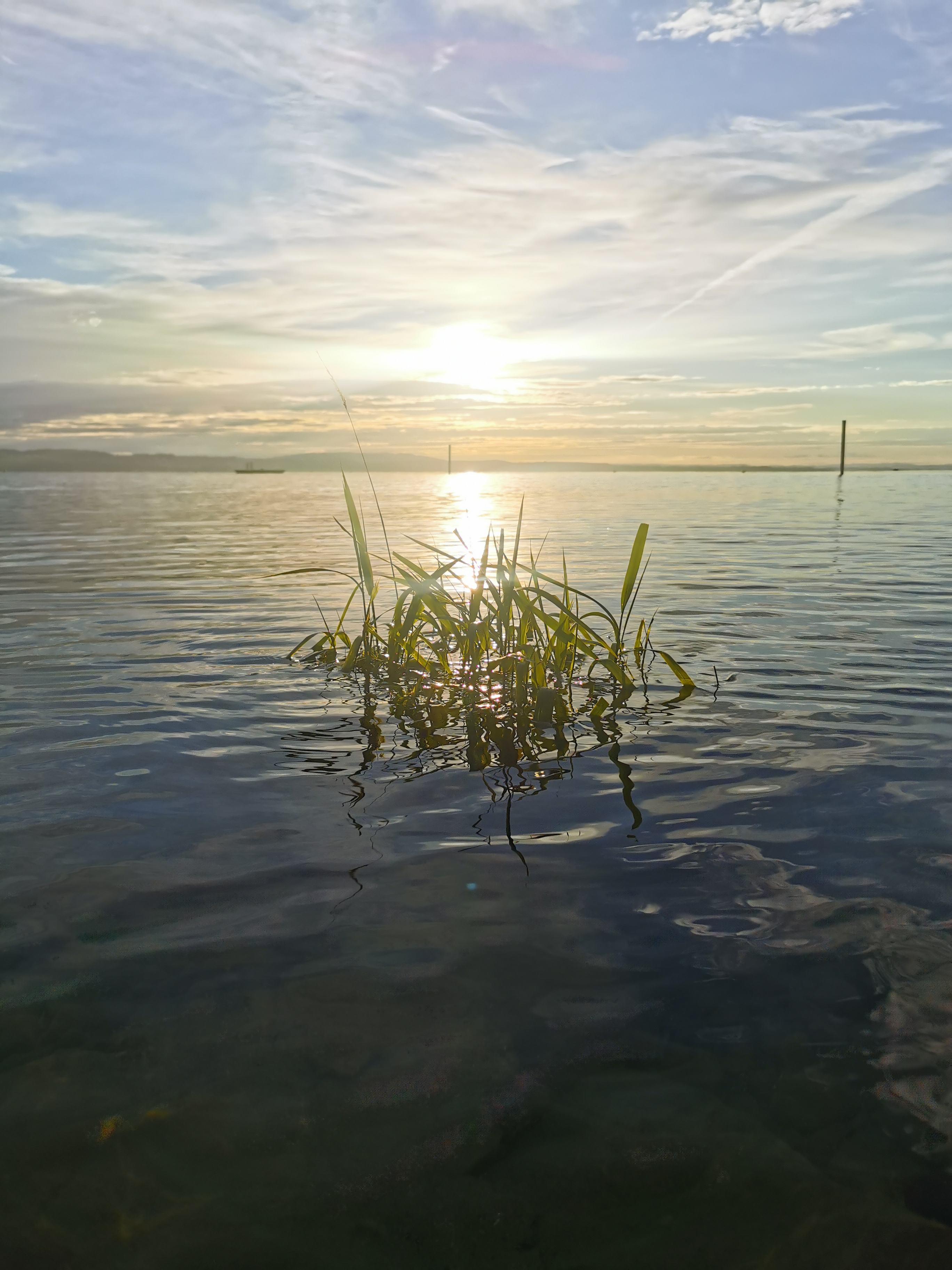 Ausflugsziel: Schwimmbad Hörnli Kreuzlingen