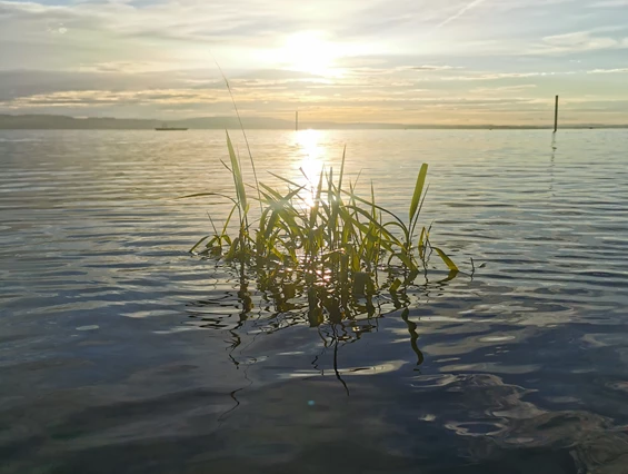 Ausflugsziel: Schwimmbad Hörnli Kreuzlingen