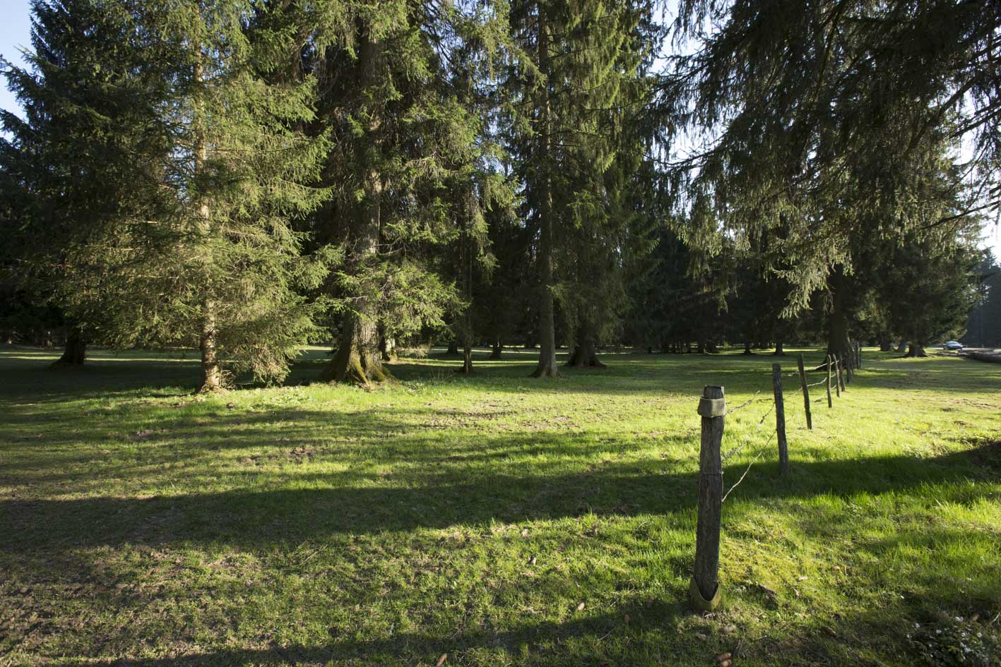 Ausflug mit Kindern - Alter der Kinder: 2 bis 4 Jahre - Chaumont - Regionalpark Doubs