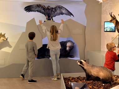 Ausflugsziel: Jurassica