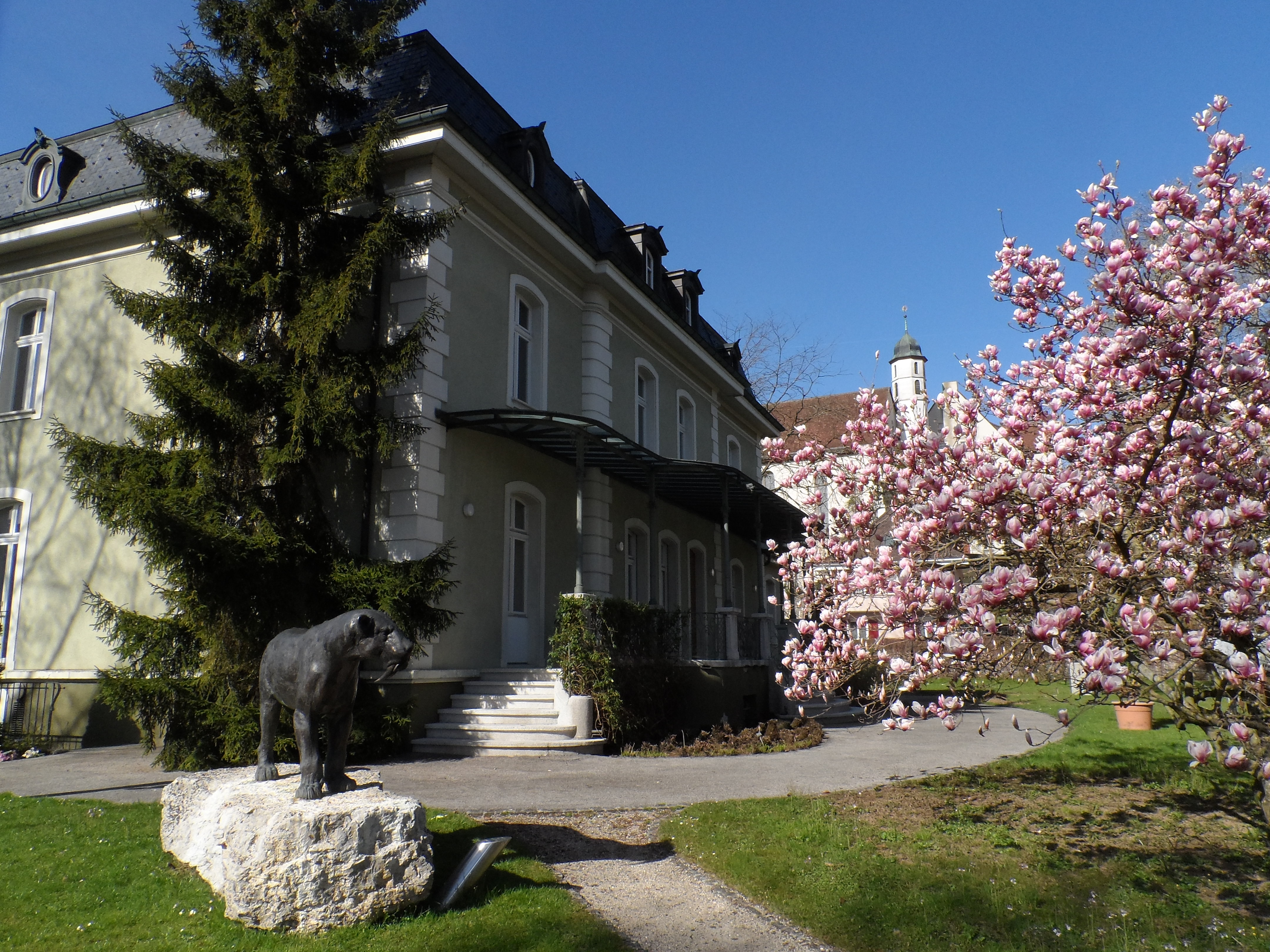 Reis met kinderen - Delémont - Jurassica