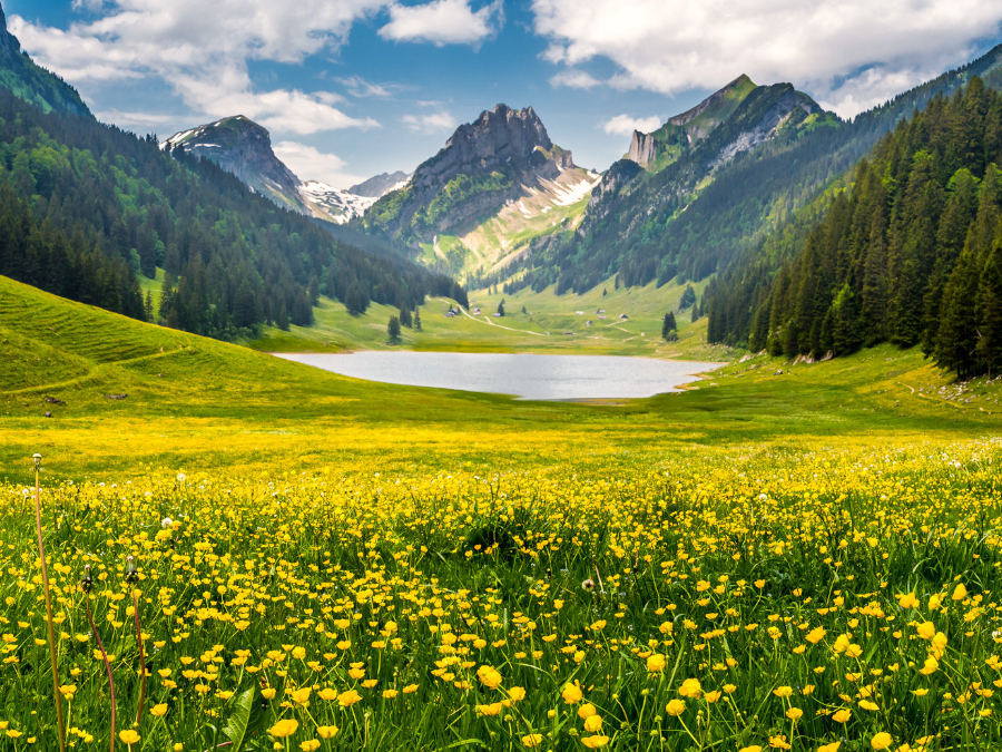 Ausflugsziel: Hoher Kasten - Grenzenlos 360