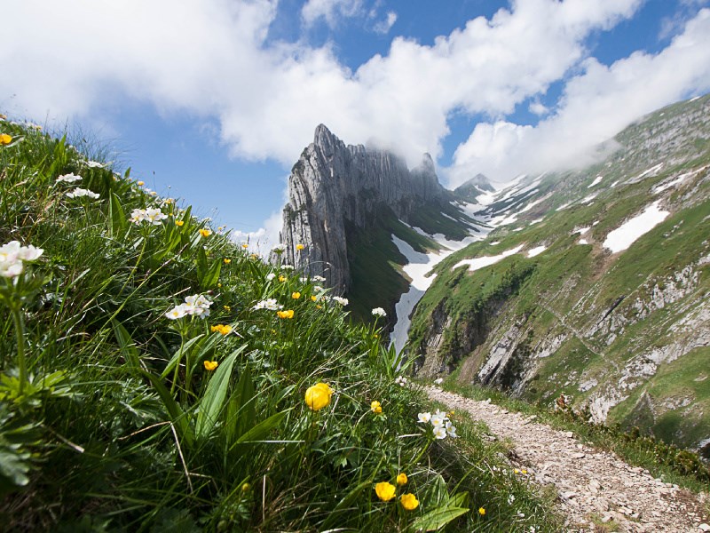 Hoher Kasten - Grenzenlos 360 Highlights beim Ausflugsziel Geologischer Panoramawanderweg