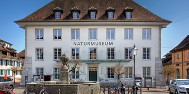 Ausflug mit Kindern - Themenschwerpunkt: Dinosaurier - Solothurn - Naturmuseum Solothurn