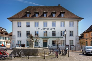 Ausflugsziel: Mitten in der barocken Altstadt liegt das Naturmuseum. - Naturmuseum Solothurn
