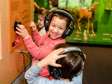 Ausflugsziel: Die Natur kann mit allen Sinnen erfahren werden. - Naturmuseum Solothurn