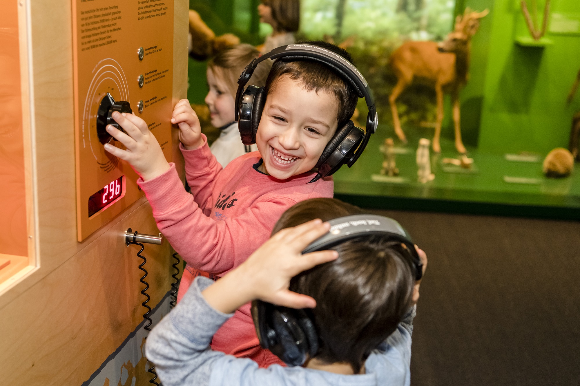 Ausflugsziel: Naturmuseum Solothurn