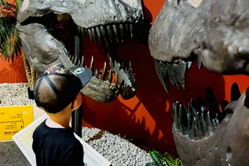 Ausflugsziel: Auge in Auge mit dem T-Rex  - Sauriermuseum Bellach