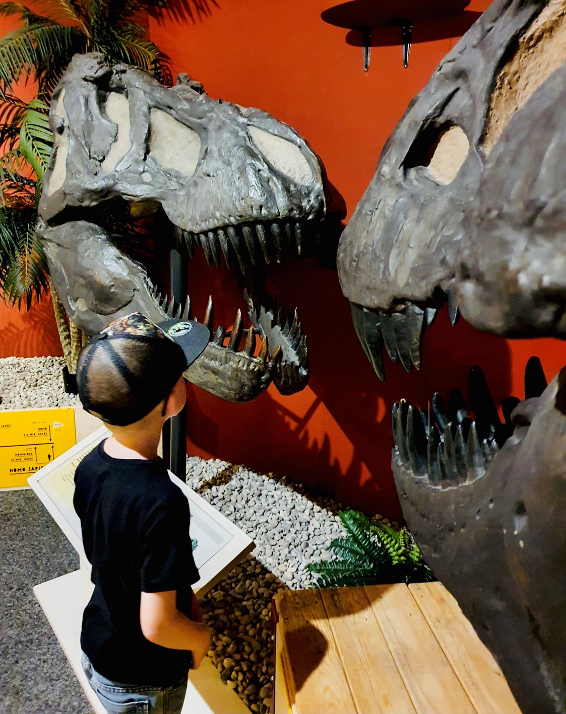 Ausflugsziel: Auge in Auge mit dem T-Rex  - Sauriermuseum Bellach