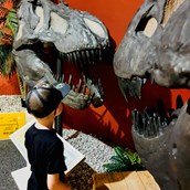 Ausflugsziel - Auge in Auge mit dem T-Rex  - Sauriermuseum Bellach