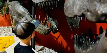 Ausflug mit Kindern - Dauer der Aktivität: unter einer Stunde - Auge in Auge mit dem T-Rex  - Sauriermuseum Bellach