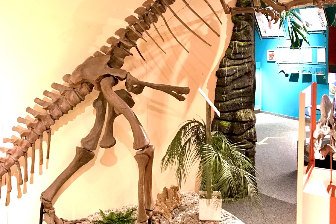 Ausflugsziel: Plateosaurier - Sauriermuseum Bellach