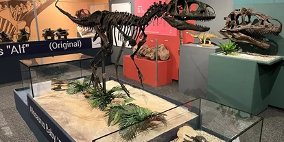Voyage avec des enfants - Pratteln - Sauriermuseum Bellach