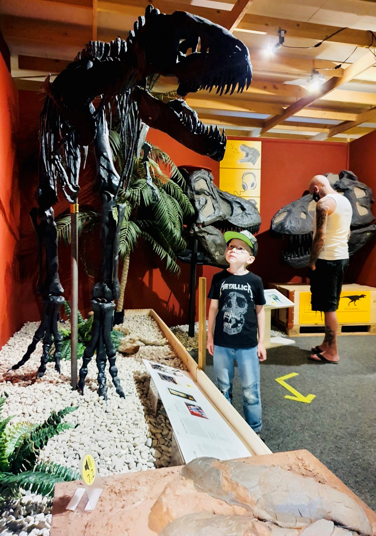 Sauriermuseum Bellach Highlights beim Ausflugsziel T-Rex Jungtier