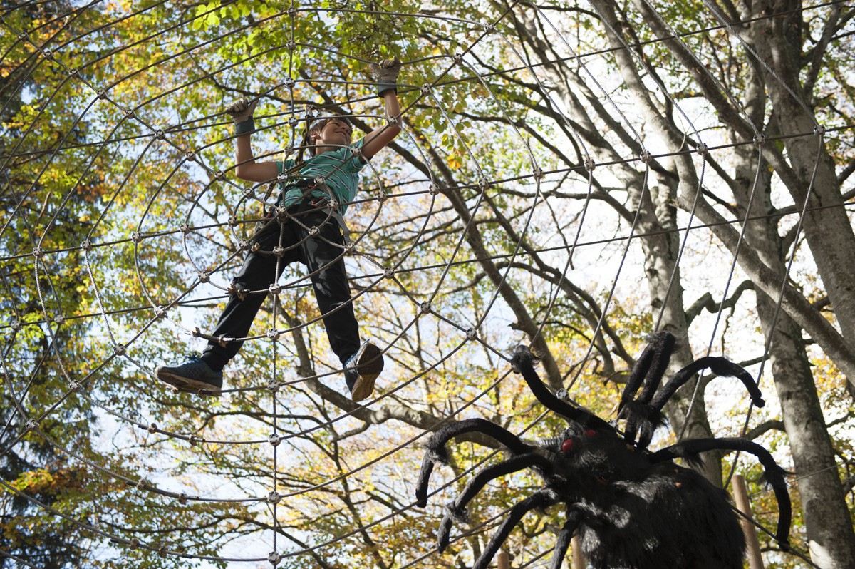 Ausflugsziel: Seilpark Balmberg