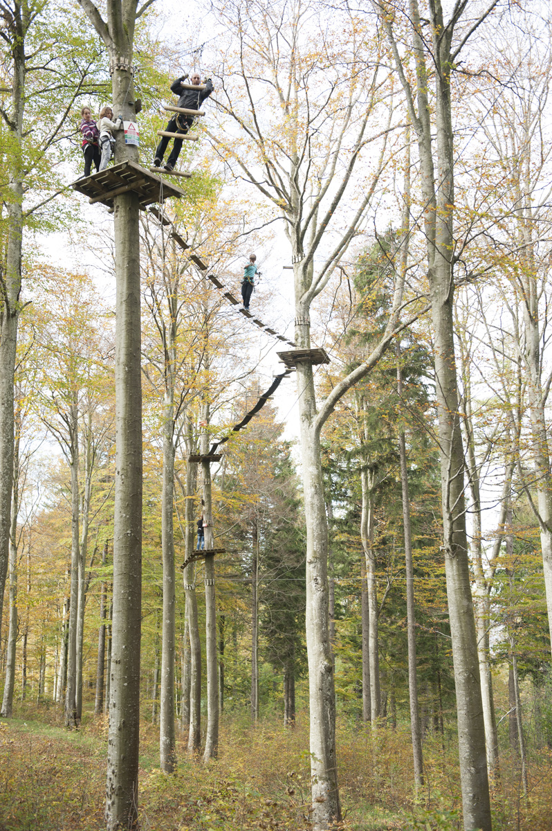 Ausflugsziel: Seilpark Balmberg