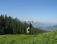 Ausflugsziel: Das Tal der Seilrutschen, ein einzigartiges Vergnügen in der Schweiz - Charmey Aventures