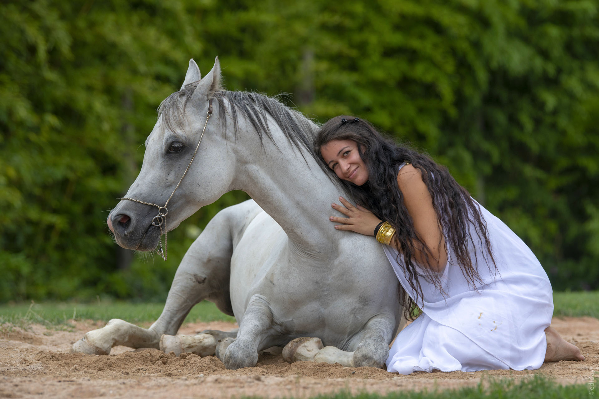 Ausflugsziel: Falconeria Locarno